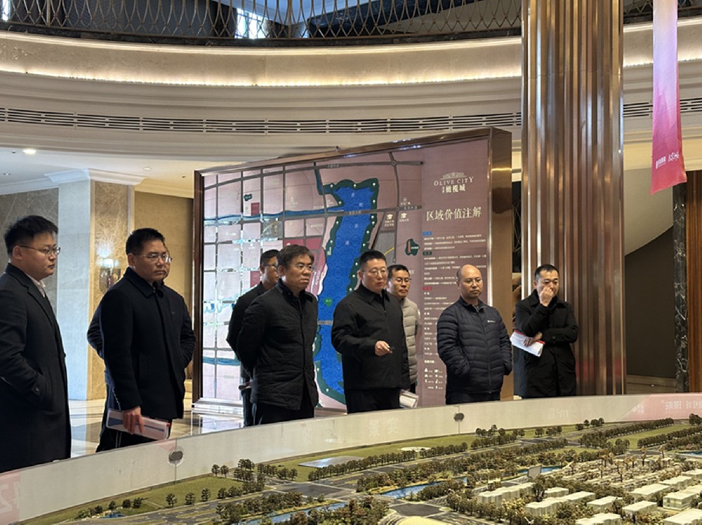 黨委書記、董事長汪洋調(diào)研開封項目并指導(dǎo)經(jīng)營發(fā)展工作